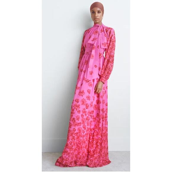 Sachin & BabiVera floral-print chiffon gownPink Red Floral Naxi Dress Sz 0 XS - Picture 5 of 16